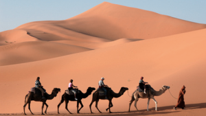 Learn Basic Arabic Phrases Essential for Travel, Free from BBC Languages