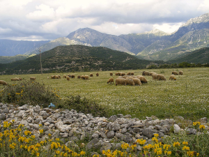 Free Albanian Phrasebook Free Albanian Phrasebook