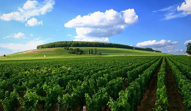 Free FSI French Course Online: Download French PDF Materials and Audio Lessons Free FSI French Course Online: Download French PDF Materials and Audio Lessons