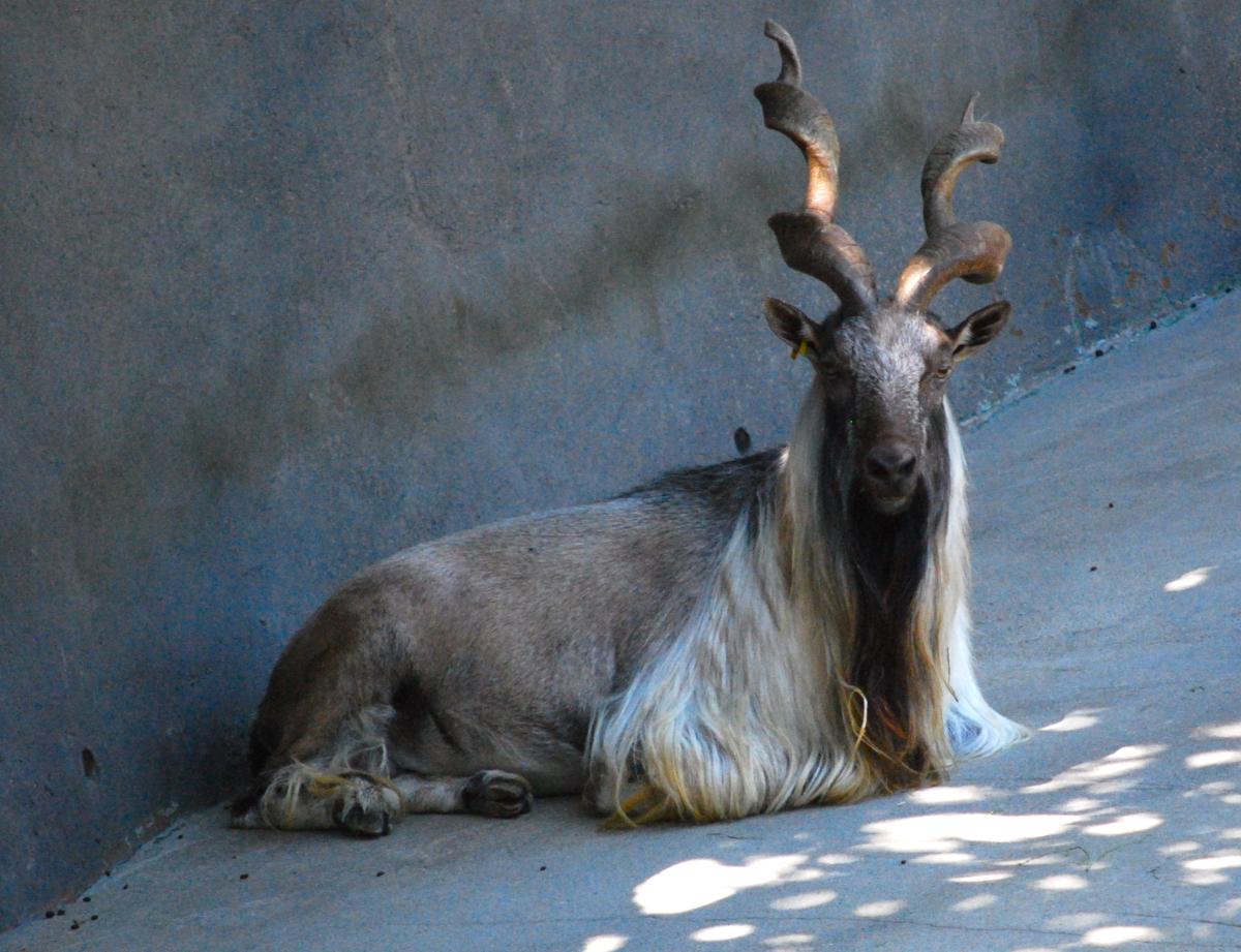 Free Tajik Phrasebook Free Tajik Phrasebook