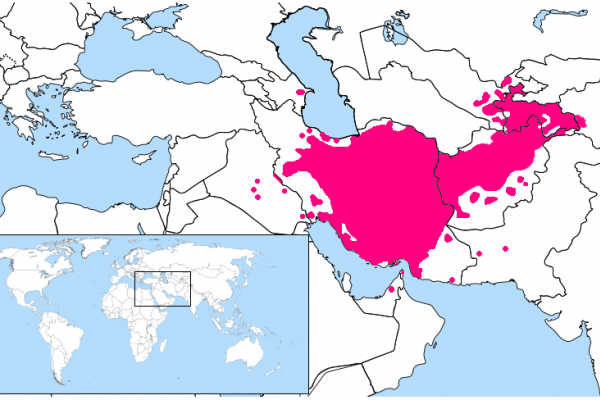 Learn about the Persian (Farsi) Language