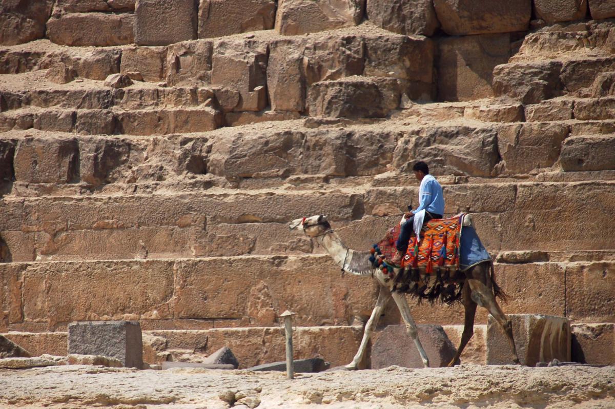 Learn Egyptian Arabic in just 20 minutes a day with Glossika's unique method Learn Egyptian Arabic in just 20 minutes a day with Glossika's unique method