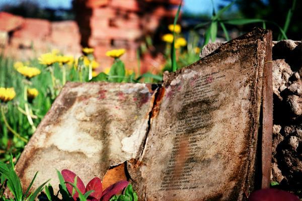 Learn Latvian free by reading whatever you want Learn Latvian free by reading whatever you want