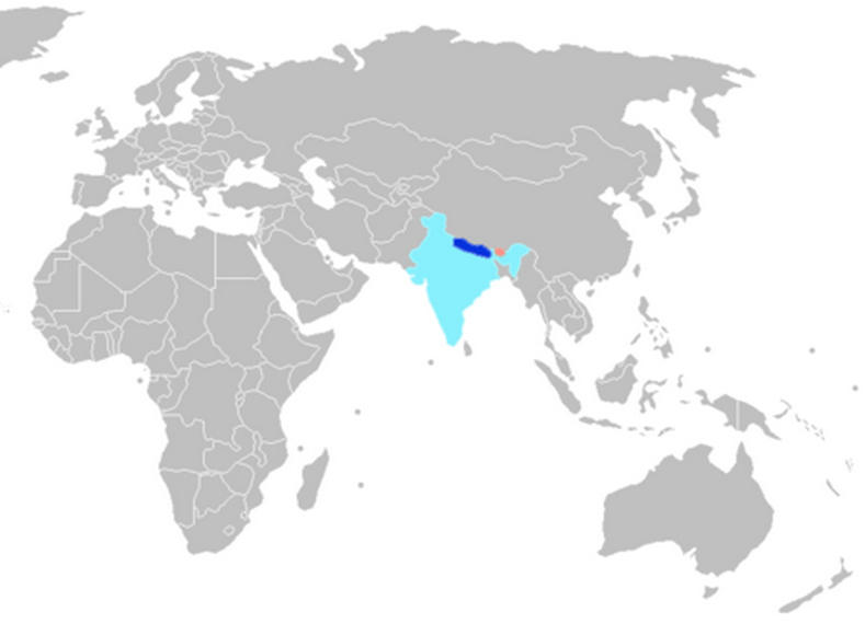 Learn about the Nepali (Nepalese) Language Learn about the Nepali (Nepalese) Language