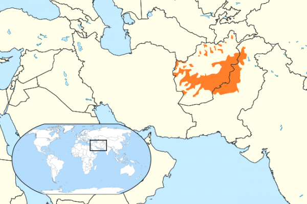 Learn about the Pashto Language