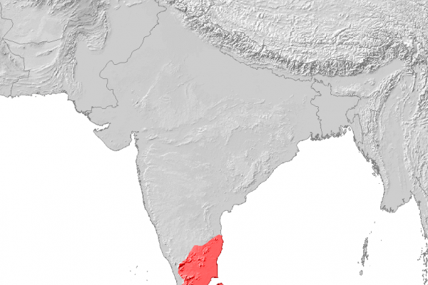Learn about the Tamil Language Learn about the Tamil Language