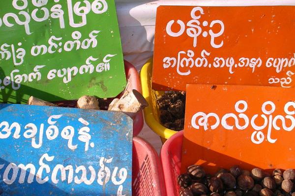 Learn about the Burmese Language