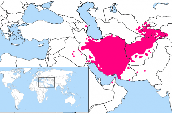 Learn Farsi | Free Language