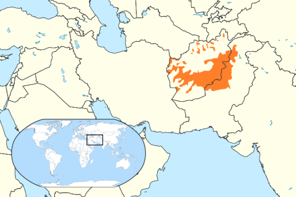 Learn about the Pashto Language